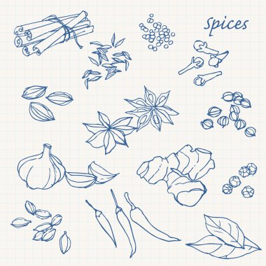 baharat doodles