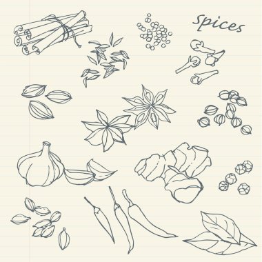 baharat doodles