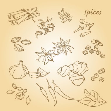 baharat doodles