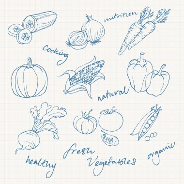 sebze doodles