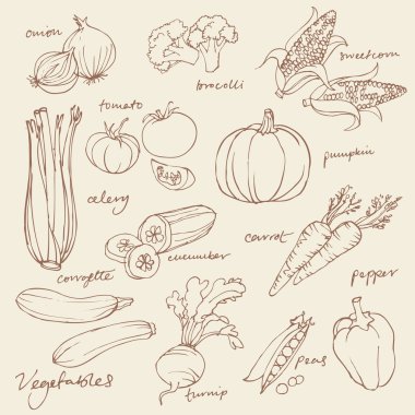 sebze doodles