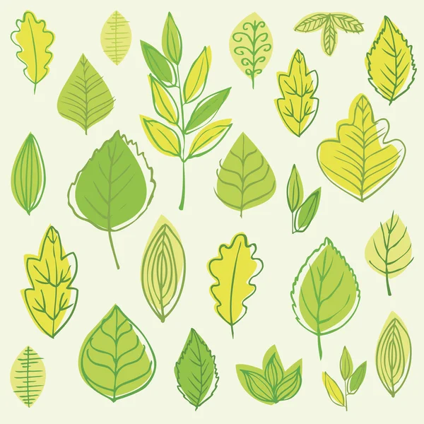 Collection of leaves — Stock Vector