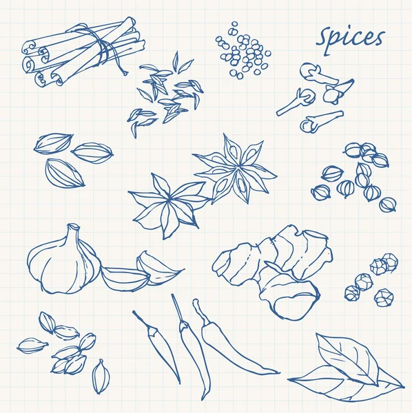 Nouilles aux épices — Image vectorielle