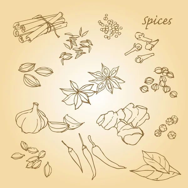 Spices doodles — Stock Vector