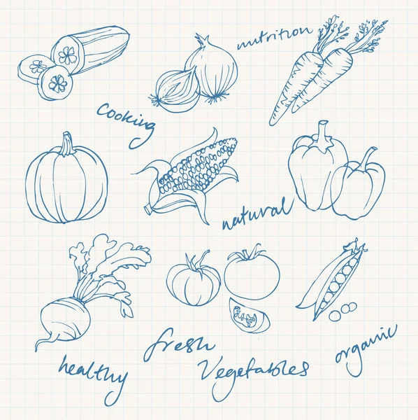 sebze doodles