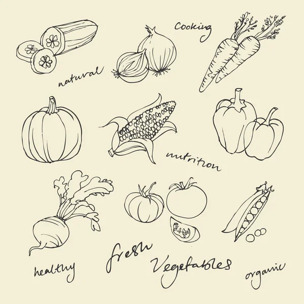 Ensemble de légumes — Image vectorielle