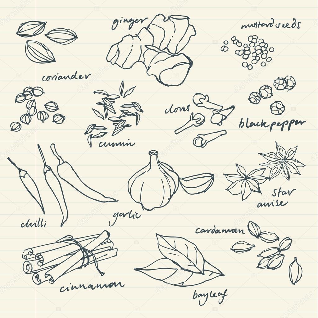 Spices doodles