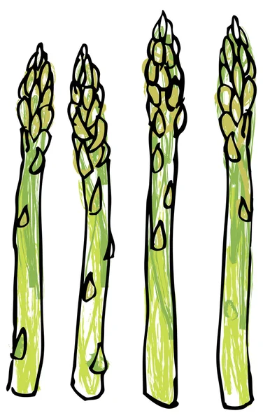 Gambi di asparagi — Vettoriale Stock