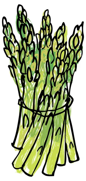 Asparagus stems — Stock Vector