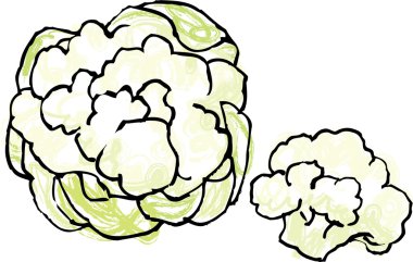 karnabahar başkanları