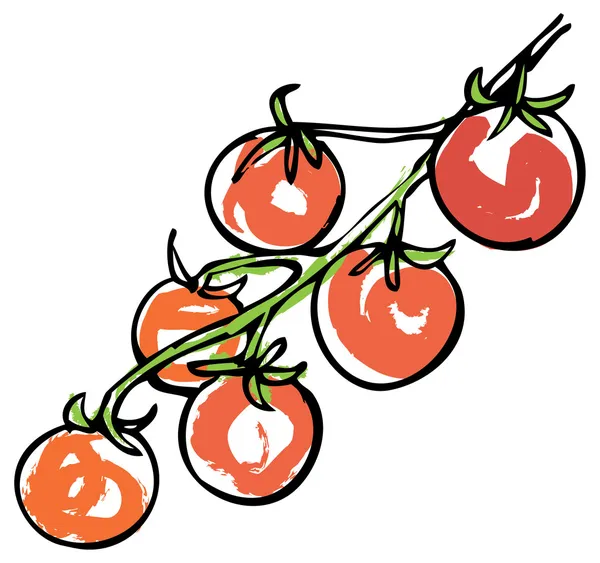 Tomates cherry — Vector de stock