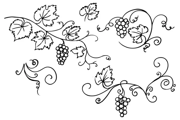 Uvas & ornamento de la vid — Vector de stock