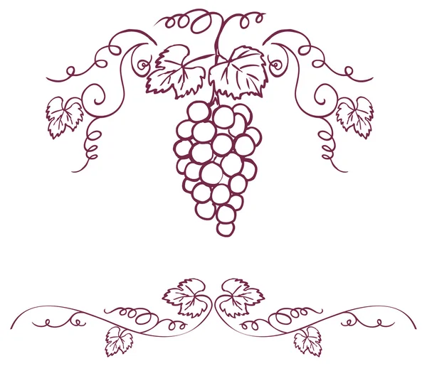 Grapes & vine ornament — Stock Vector