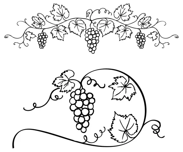 Grapes & vine ornament — Stock Vector