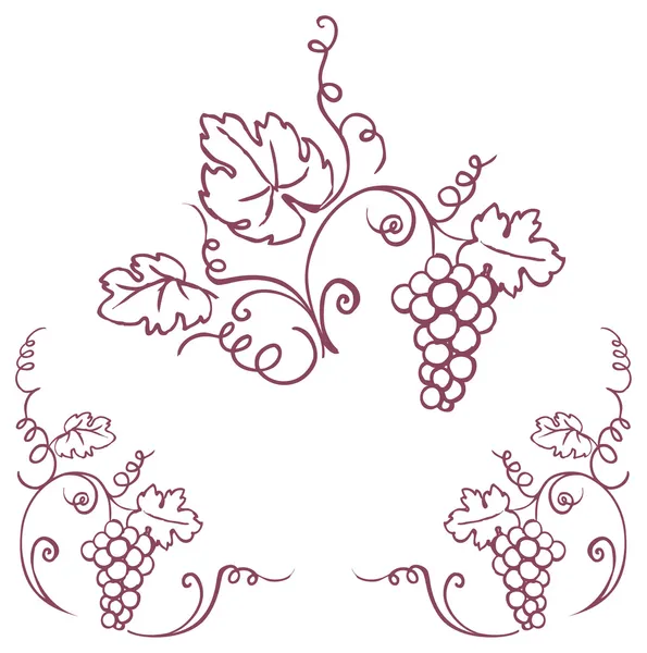 Grapes & vine ornament — Stock Vector