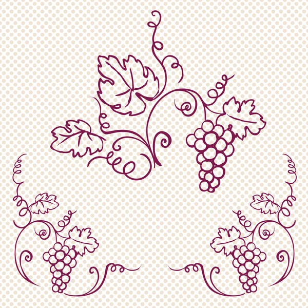 Druiven & wijnstok ornament — Stockvector