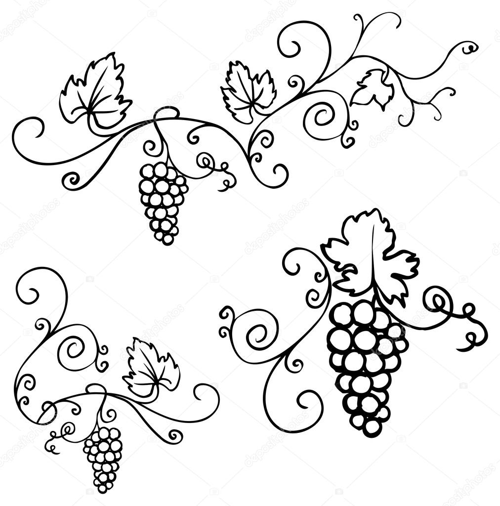 Grapes & vine ornament Stock Vector Image by ©OMW 48687433