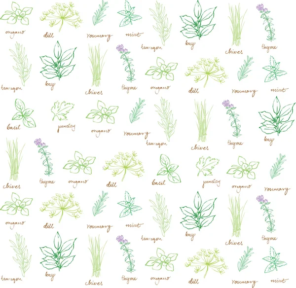 Fresh herbs background — Stock Vector