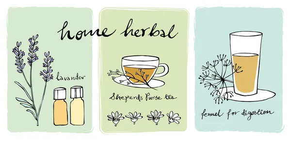 Herbal teas and essential oils — Stock Vector