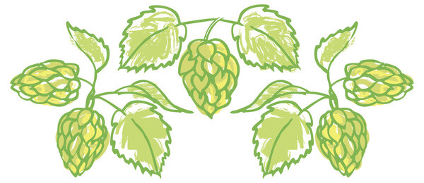 Граница хмеля
