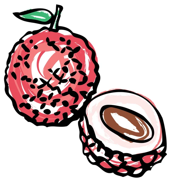 Whole and half Lychee — Stock Vector