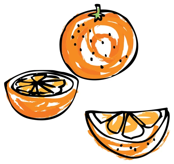 Sliced and segment of orange — Stock Vector