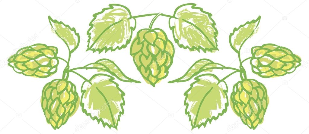 Hops border