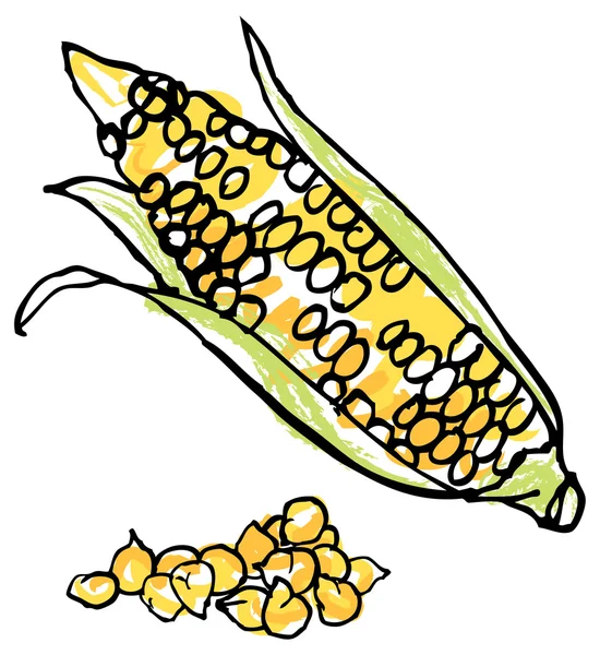 Maïs et grains — Image vectorielle