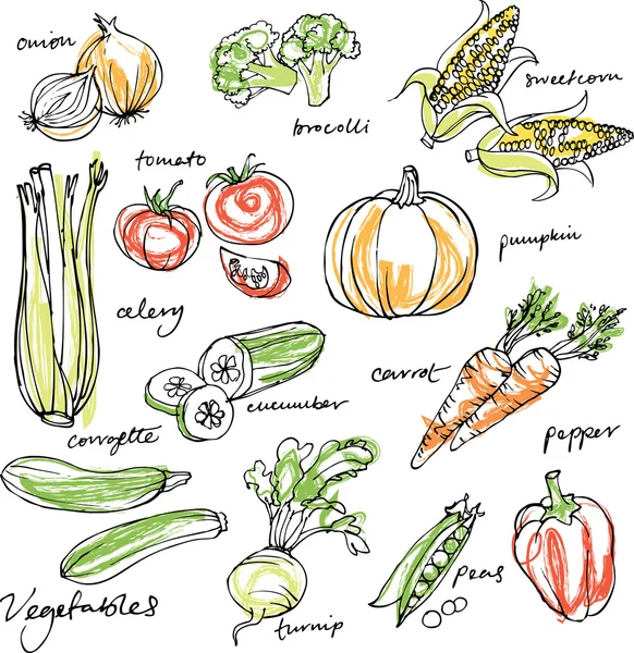 Verduras surtidas — Vector de stock