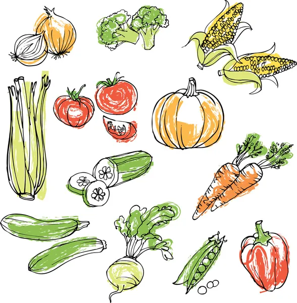 Assorted vegetables — Stock Vector