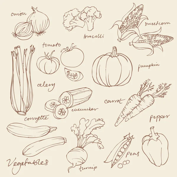 Verduras surtidas — Archivo Imágenes Vectoriales