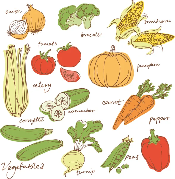 Légumes divers — Image vectorielle