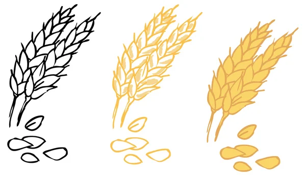 Oreilles d'orge de blé — Image vectorielle