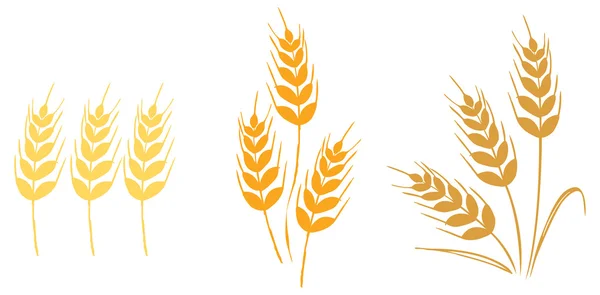 Wheat and barley icons — Stock Vector