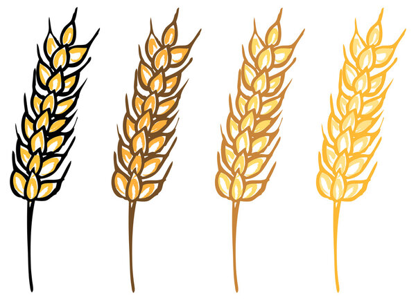 Ячменные уши
