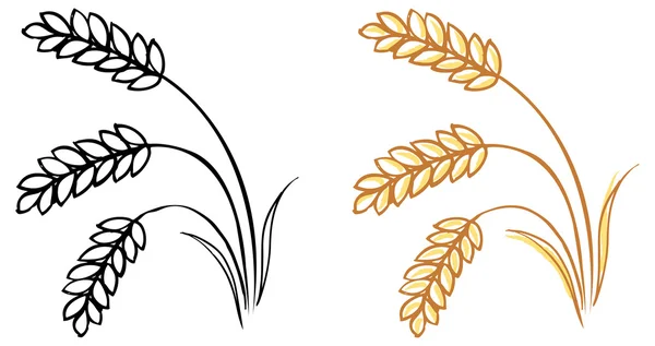 小麦大麦の穂 — ストックベクタ