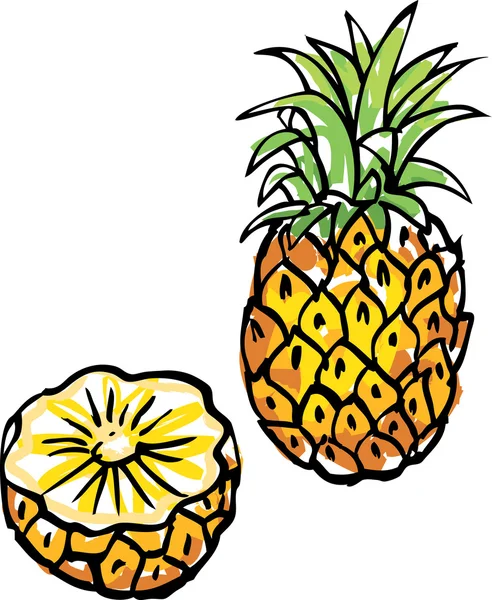 Whole and cut pineapple — Stock Vector