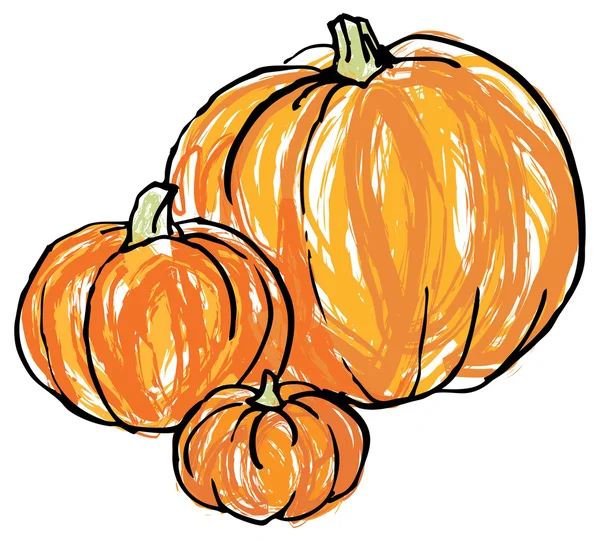 Whole pumpkins — Stock Vector