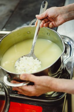 Peynir üreticisi peyniri çelik bir tavada pişirir, yakın çekim. Kadın nefis ev yapımı peynir hazırlıyor. Atölyede ev yapımı peynir yapma süreci