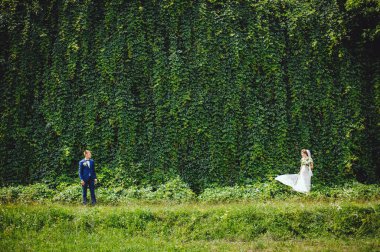 Beyaz elbiseli güzel gelin ve smokinli şık gelin düğün gününde yeşil doğa arka planında. Uzayı kopyala Metin için yer.