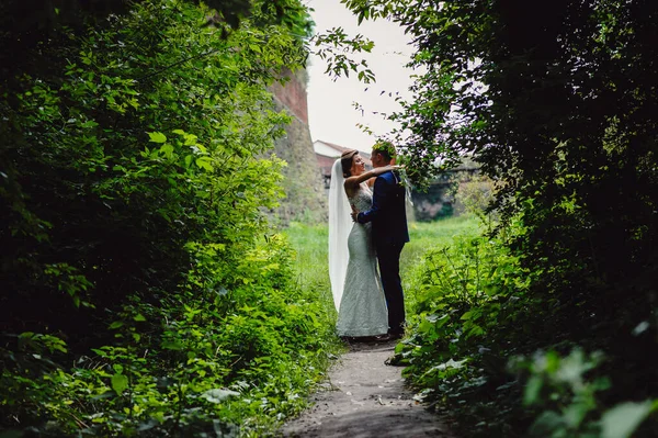 Gelin Damat Doğaya Sarılıyor Romantik Çiftler Yeni Evliler Düğün Töreni — Stok fotoğraf