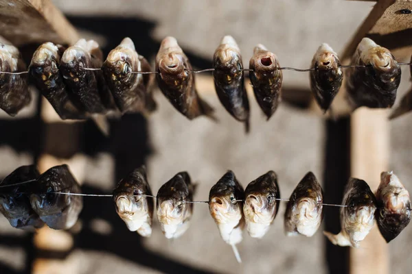 Dried fish on a rope, close-up. Salted fish is dried in the air at home.