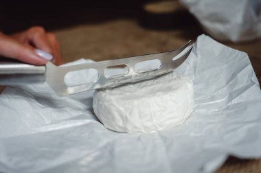 Camembert peyniri, beyaz küflü Fransız yumuşak peyniri el yapımı tekstil masa örtüsünün arka planındaki bir kadının elinde, yakın plan. Peynir dilimlemek için bıçak. Peynir üreticisi peynir keser.