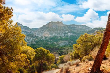 Caminito del Rey yürüyüş yolu, Kralların patikası, El Chorro Gorge 'un güzel manzarası, Ardales, Malaga, İspanya.