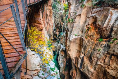 Caminito del Rey yürüyüş yolu, Kralların patikası, El Chorro Gorge 'un güzel manzarası, Ardales, Malaga, İspanya.