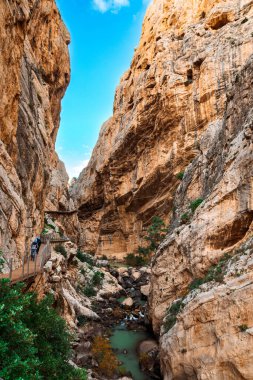 Caminito del Rey yürüyüş yolu, Kralların patikası, El Chorro Gorge 'un güzel manzarası, Ardales, Malaga, İspanya.