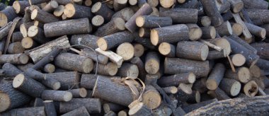 Pankart. Yakacak odun. Testere kütükleri büyük bir yığın içinde yatar. Ahşap. Orman kaynakları. çoklu uzay. Yüksek kalite fotoğraf. 