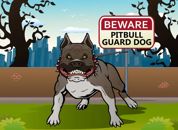Pitbul köpeği