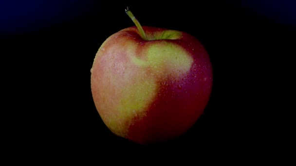 Pomme biologique rouge-jaune tourne lentement autour sur fond noir. — Video