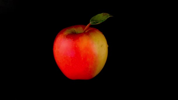 Red-yellow organic apple rotates around slowly on black background. — Vídeo de Stock